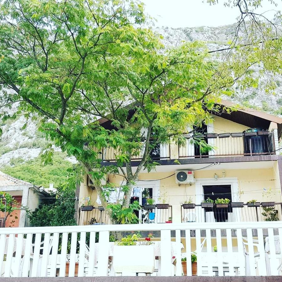 Montenegro Apartmant'S Kotor Exterior photo