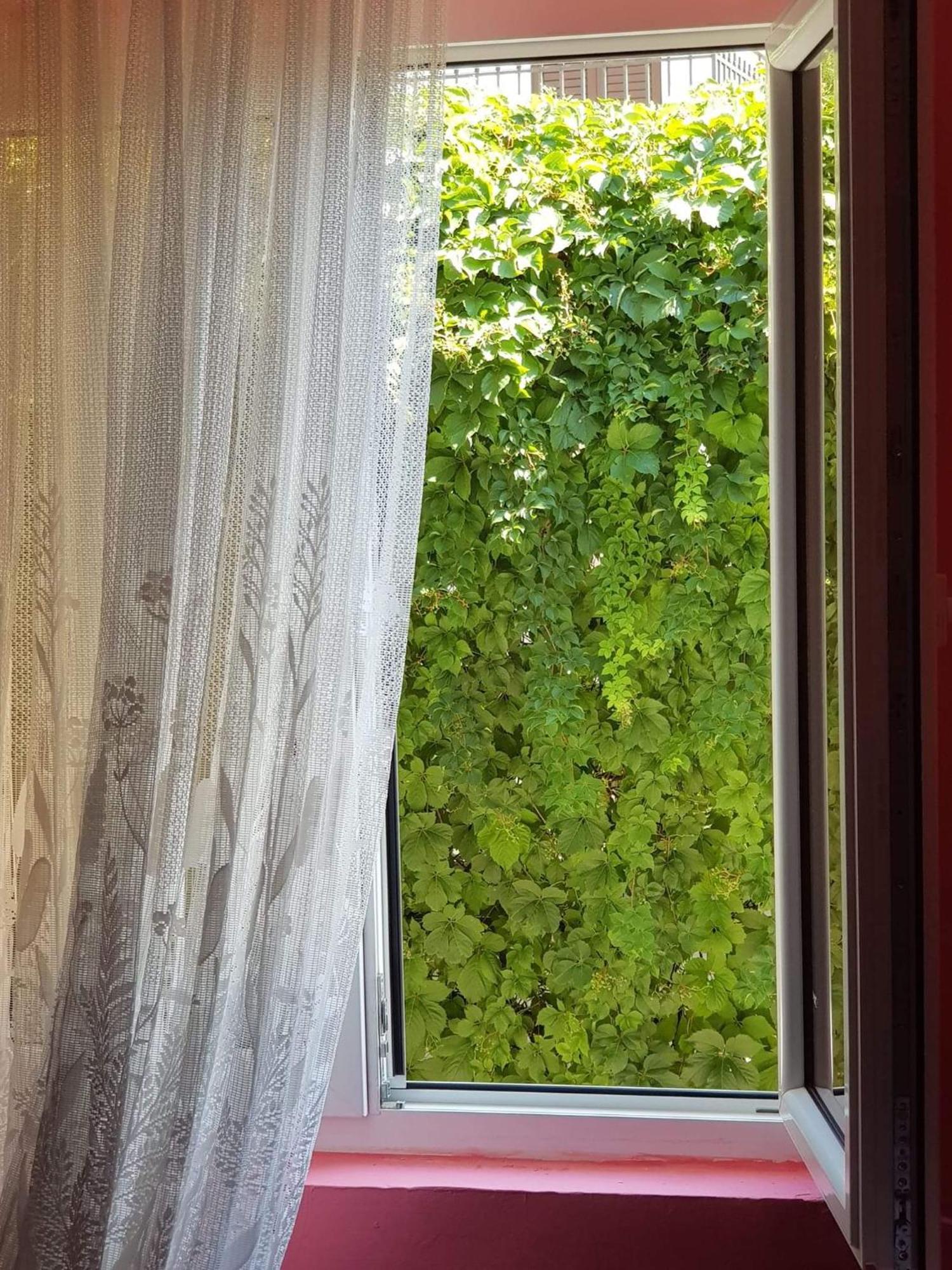 Montenegro Apartmant'S Kotor Room photo